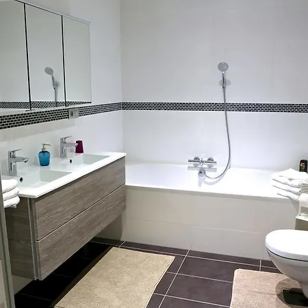 Royal Apartment Brussels